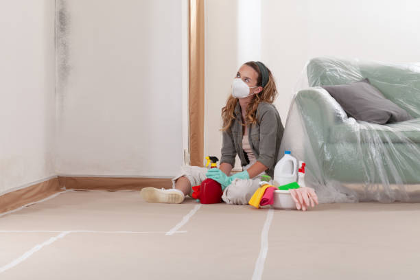 Trusted Mold Remediation service in Moncure, NC - Cheap Mold Removal